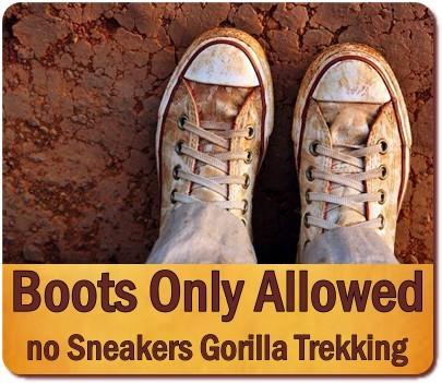 Hiking Boots are the Right Footwear for Gorilla Trekking and Hiking Safaris