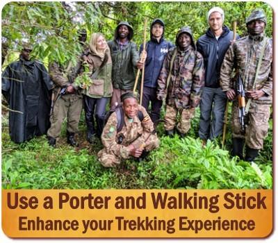 The Two Must-Haves for Gorilla Trekking are a Porter and a Walking Stick