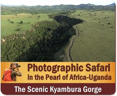 How to plan a Photographic Safari in Uganda 