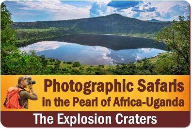 How to plan a Photographic Safari in Uganda - Step by Step Advice