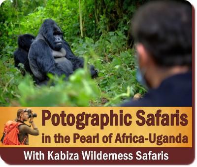 Gorilla - Chimpanzee Trek Photography made simple