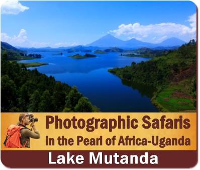 How to plan a Photographic Safari in Uganda - Step by Step Advice