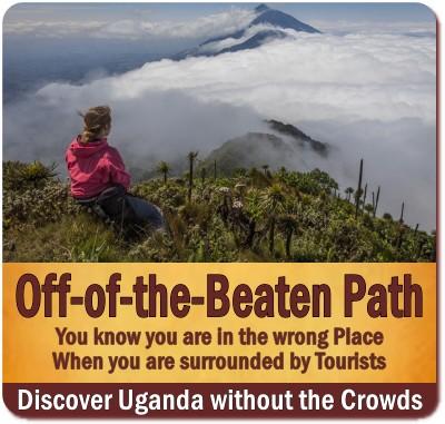 In Search of Authentic Africa on Safari in Uganda