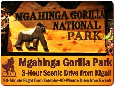 Things to do and see in Mgahinga Gorilla Park in Uganda