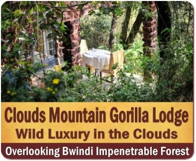 Clouds Mountain Gorilla Lodge