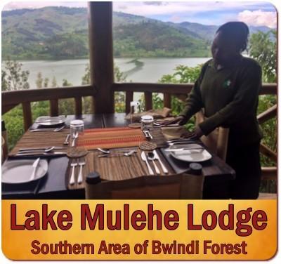 Lake Mulehe Safari Lodge-The perfect base lodge for Trekkers and Adventurers