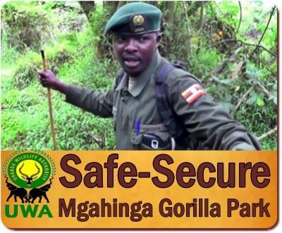 Things to do and see in Mgahinga Gorilla Park in Uganda