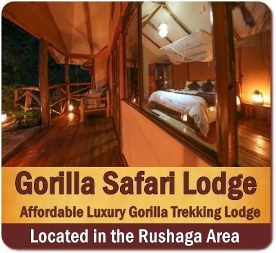 Best Luxury Gorilla Trekking Lodges in Bwindi Impenetrable Forest