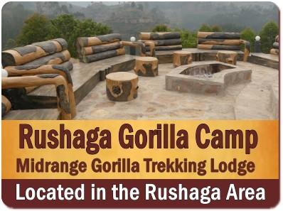 Lodging Choices while Gorilla Trekking in Rushaga-Nkuringo in Bwindi Forest