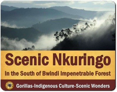 The Scenic Nkuringo Region of Bwindi Impenetrable Forest in Uganda