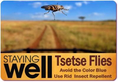 The Tsetse Fly was the Creator of the Savannah Wildlife Parks in Uganda