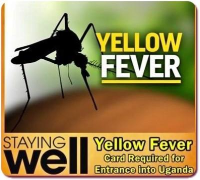 yellow fever certificate