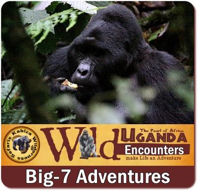 Big-7 Animals that you will find in Uganda