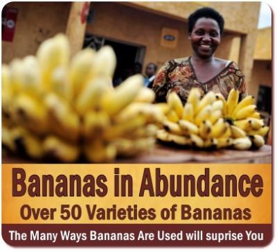 Uganda is the Banana Republic of Africa-Here Bananas are like Daily Bread