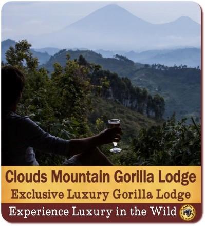 Best Luxury Gorilla Trekking Lodges in Bwindi Impenetrable Forest