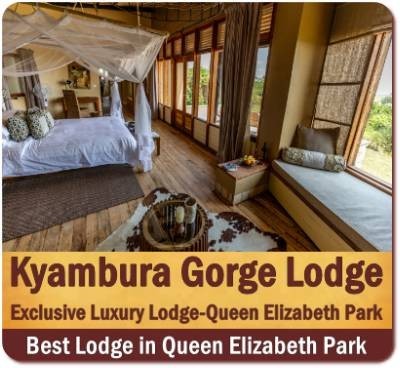 Kyambura Gorge Lodge