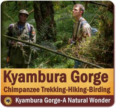 The Kyambura Gorge Lodge - Queen Elizabeth Park