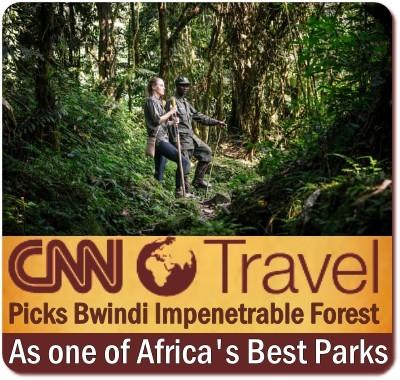 CNN names Bwindi Impenetrable Forest one of the 5 Best Parks in Africa