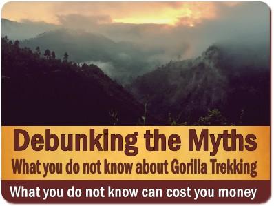 Things You Never Knew About Gorilla Trekking