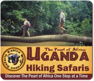 Best Volcano Hikes and Climbs in Uganda adventurous Hikers-Climbers