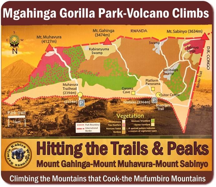 Climbing the Volcanoes in Mgahinga Gorilla Park in Uganda