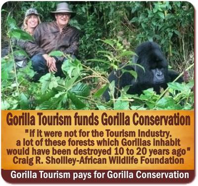 8-Things You Never Knew About Gorilla Trekking-The Reality versus the Myths