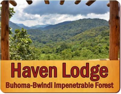 Haven Lodge - Buhoma - Bwindi Impenetrable Forest