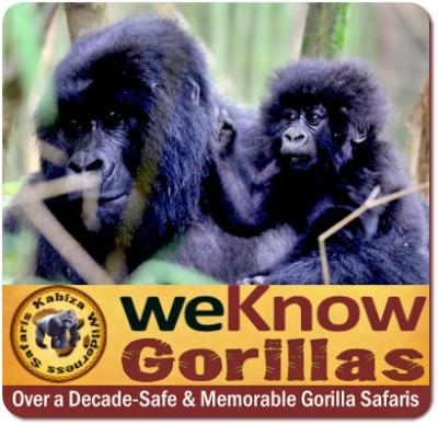 Value+ Midrange 5-Day Gorilla - Chimpanzee Trekking - Wildlife Safari