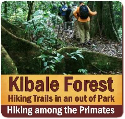 Hitting the Trails - the Best Hiking Trails in Uganda