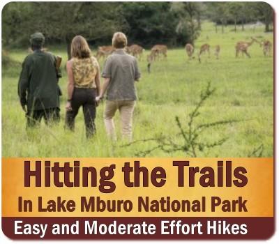 3-day Lake Mburo Park Wildlife Hiking Safari