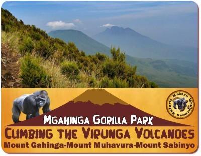 Climbing the Virunga Volcanoes