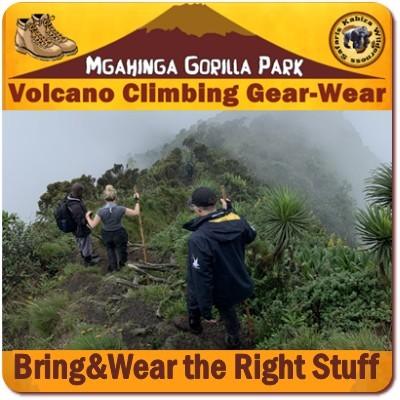 Climbing the Volcanoes in Mgahinga Gorilla Park in Uganda