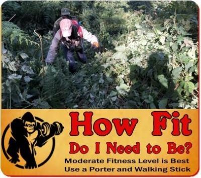 Gorilla Trekking Fitness - Am I fit enough for a Gorilla Trek?