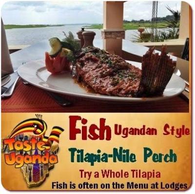 Luxury Fly-In 5-Day Murchison Falls Nile Perch Fishing Safari