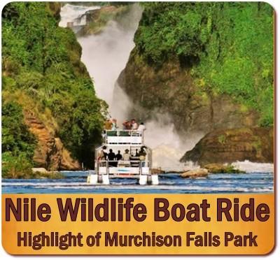 Wildlife-Birding Boat Cruises on the Nile in Murchison Falls Park