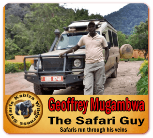 About Us  - Kabiza Wilderness Safaris - Ugandan Safari Tour Operator