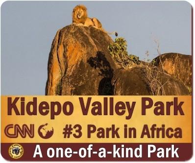 Top Things to Do and See in Kidepo Valley Park