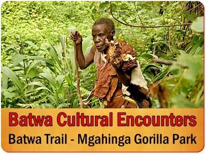 The Buniga Forest Walk with the Batwa Pygmies in South Bwindi Forest