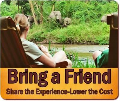 Practical Advice on Traveling Solo on Safari in Uganda