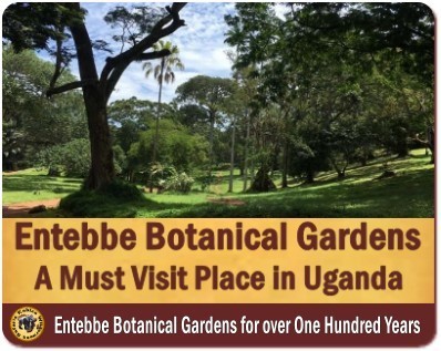 Top Things to Do and See near Kampala