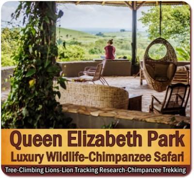 5-Day Queen Elizabeth Park Luxury Safari with Best Lodges