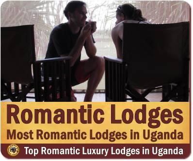 Best Romantic Lodges to stay at in Uganda the Pearl of Africa