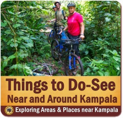 Top Things to Do and See