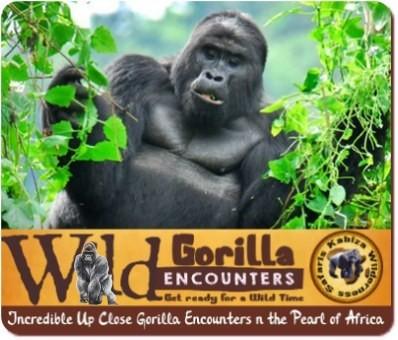 Luxury 8-Day Fly-In Gorilla-Chimpanzee-Wildlife Safari in Uganda