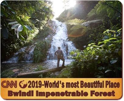 CNN-Bwindi Impenetrable Forest the Most Beautiful Place in the World