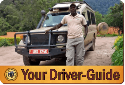 Practical Advice on Traveling Solo on Safari in Uganda