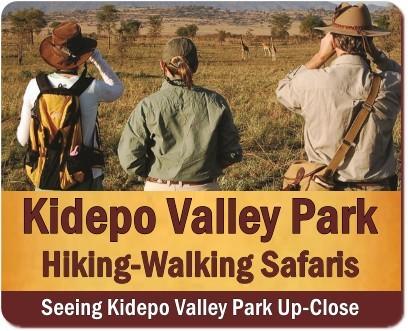 Top Things to Do and See in Kidepo Valley Park - Northeast Uganda