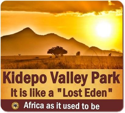 Top Things to Do and See in Kidepo Valley Park - Northeast Uganda