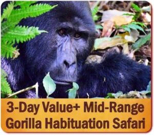 Why Fly into Rwanda and Trek Gorillas in Uganda is your best Option