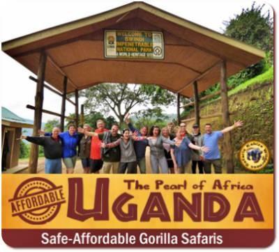 Why Fly into Rwanda and Trek Gorillas in Uganda is your best Option